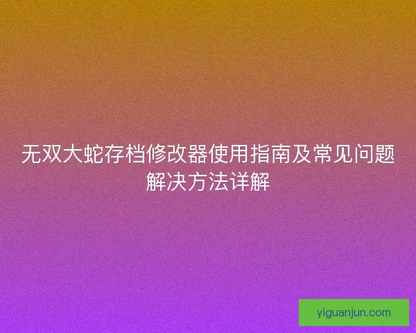无双大蛇存档修改器使用指南及常见问题解决方法详解