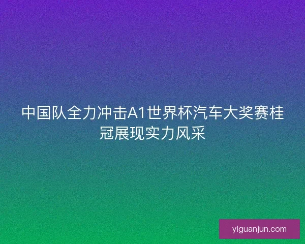 中国队全力冲击A1世界杯汽车大奖赛桂冠展现实力风采